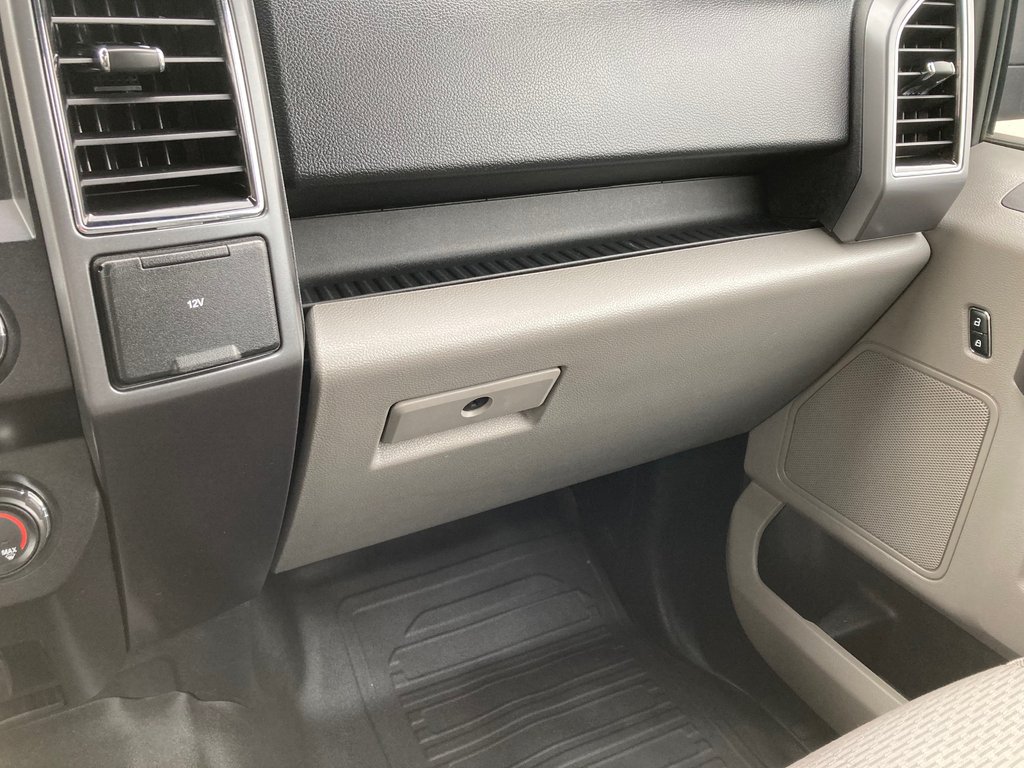 2019 Ford F-150 BASE | Cam | USB | A/C | AM/FM in Saint John, New Brunswick - 31 - w1024h768px