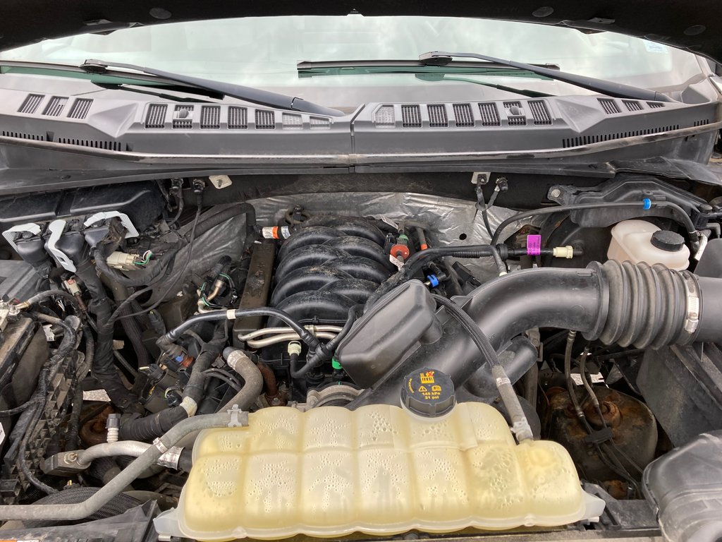 2019 Ford F-150 BASE | Cam | USB | A/C | AM/FM in Saint John, New Brunswick - 10 - w1024h768px