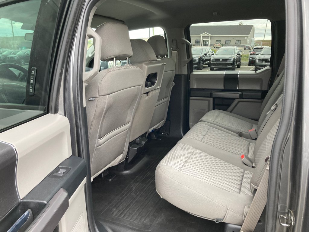 2019 Ford F-150 BASE | Cam | USB | A/C | AM/FM in Saint John, New Brunswick - 33 - w1024h768px
