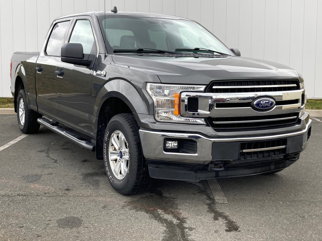 2019 Ford F-150 BASE | Cam | USB | A/C | AM/FM in Saint John, New Brunswick - 1 - w1024h768px