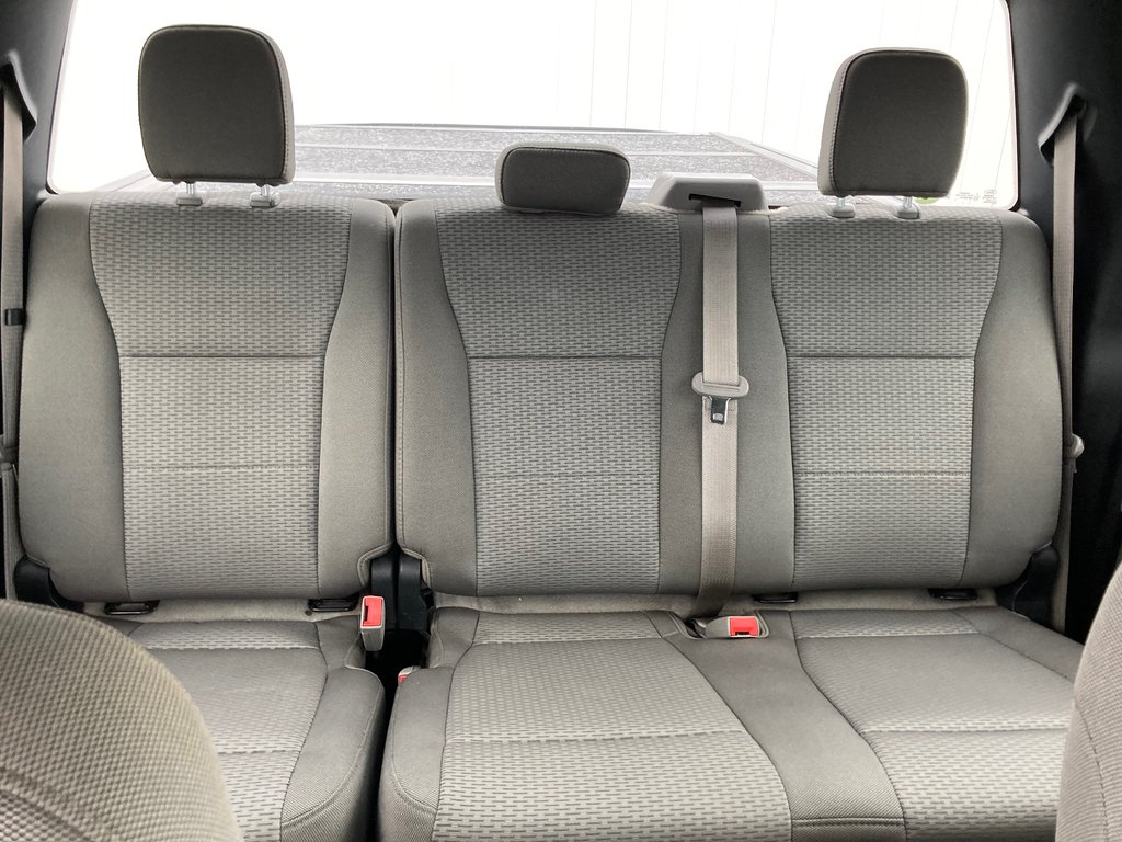 2019 Ford F-150 BASE | Cam | USB | A/C | AM/FM in Saint John, New Brunswick - 37 - w1024h768px