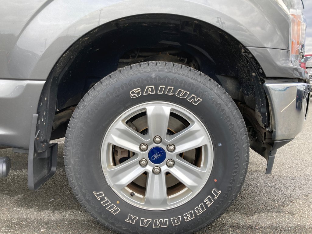 2019 Ford F-150 BASE | Cam | USB | A/C | AM/FM in Saint John, New Brunswick - 45 - w1024h768px