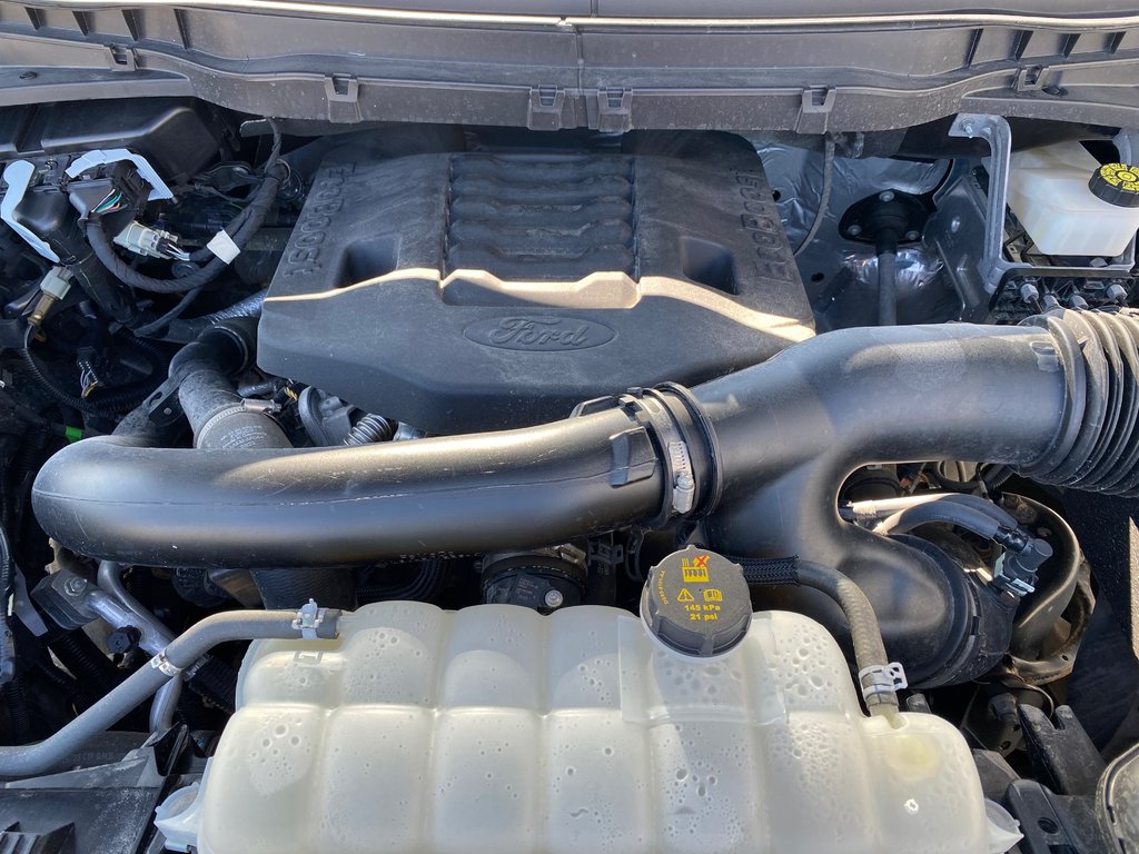 2023 Ford F-150 TREMOR | Cam | USB | LaneAssist | Warranty to 2028 in Saint John, New Brunswick - 9 - w1024h768px