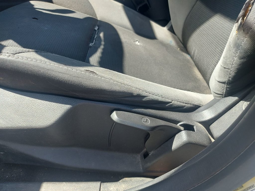 2014 Ford FOCUS SE C SE | Cruise | Aux | Tilt | AutoHeadlights in Saint John, New Brunswick - 33 - w1024h768px