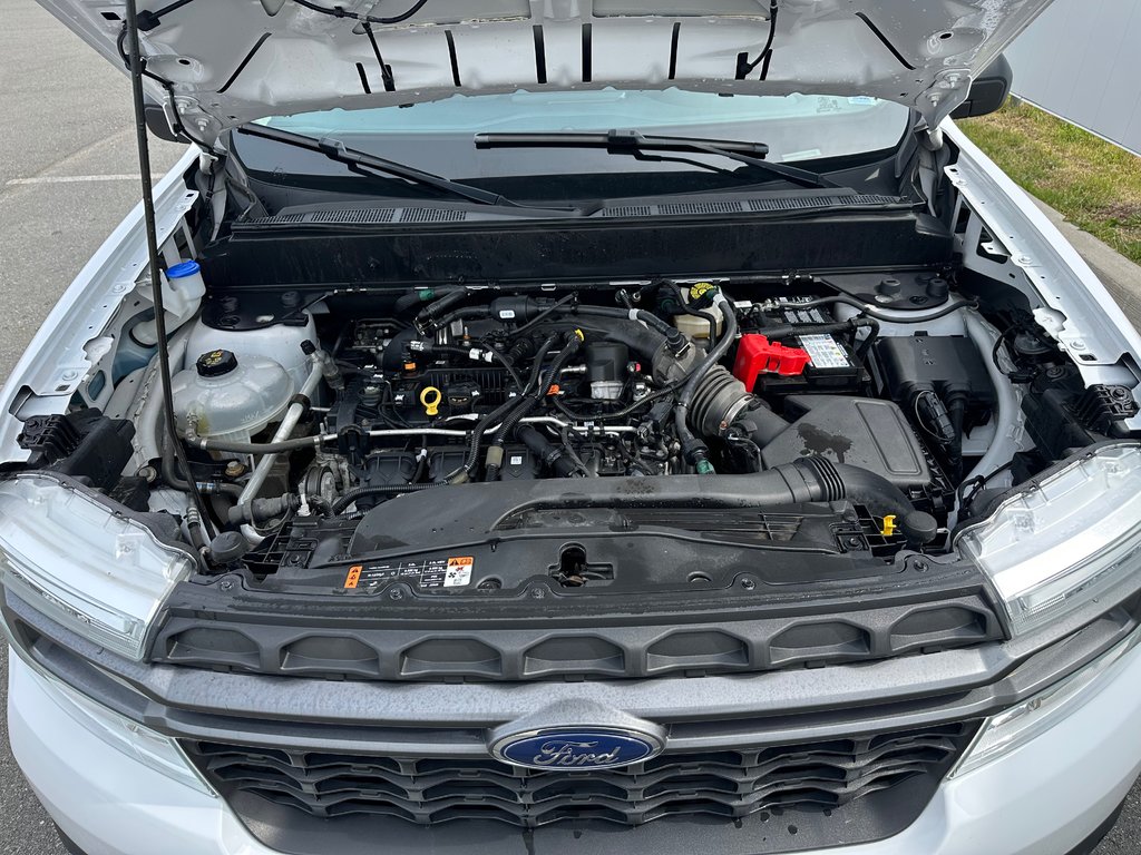 2022 Ford Maverick XLT | Cam | USB | Cruise | Warranty to 2027 in Saint John, New Brunswick - 45 - w1024h768px