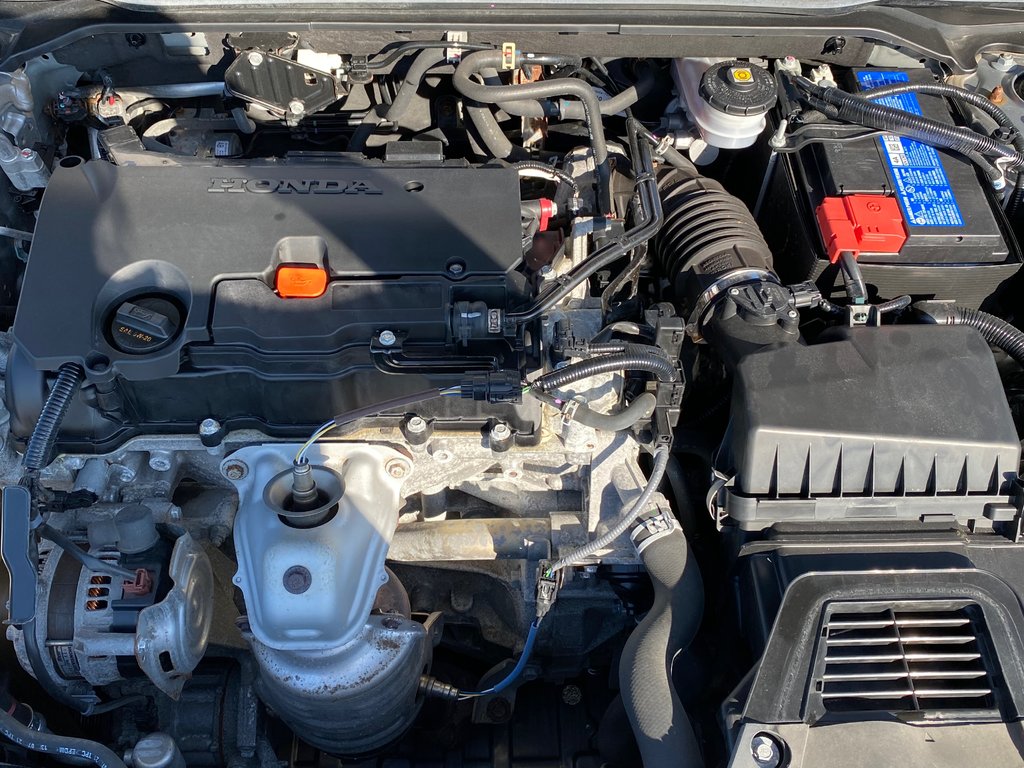 2022 Honda Civic Sedan in Antigonish, Nova Scotia - 10 - w1024h768px