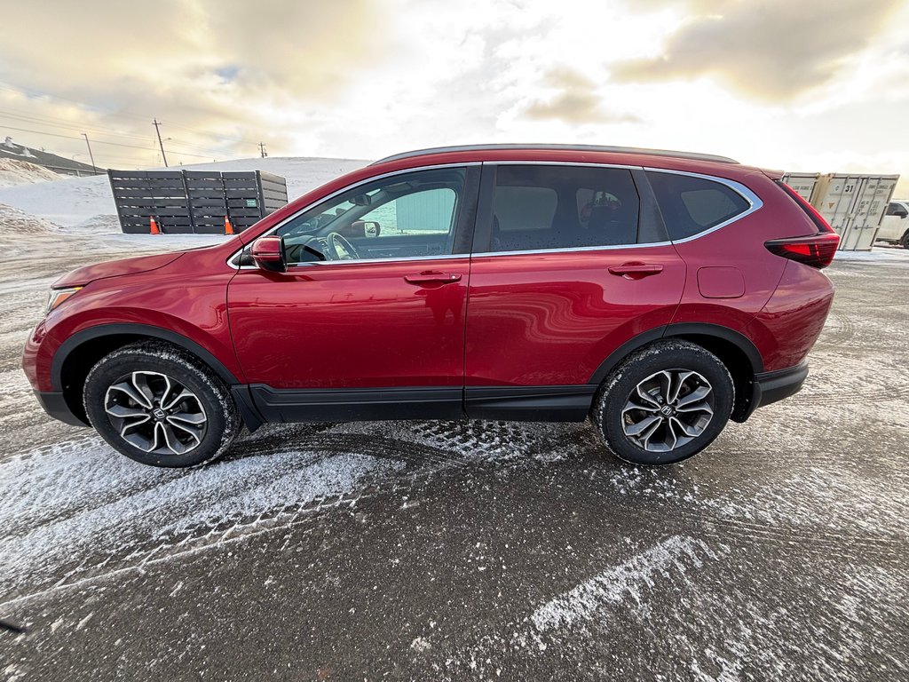 2020 Honda CR-V EX-L | Leather | SunRoof | Cam | USB | HtdWheel in Saint John, New Brunswick - 4 - w1024h768px