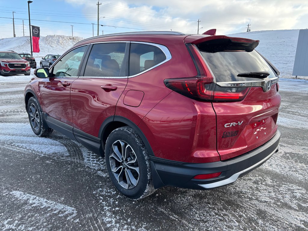 2020 Honda CR-V EX-L | Leather | SunRoof | Cam | USB | HtdWheel in Saint John, New Brunswick - 5 - w1024h768px