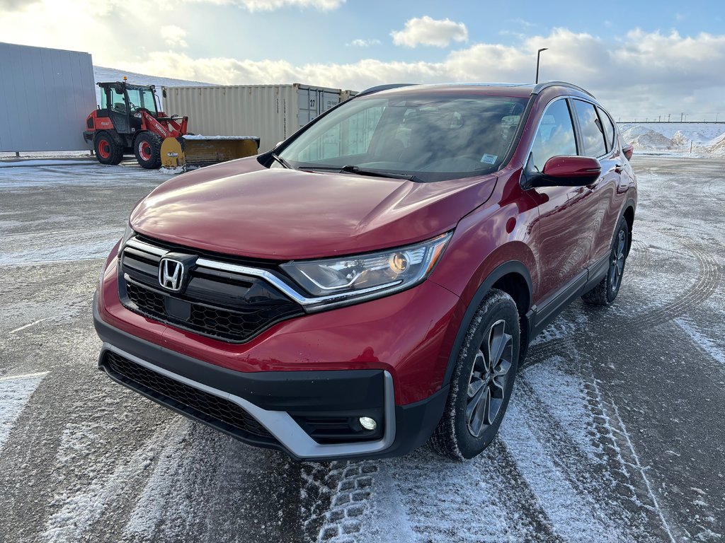 2020 Honda CR-V EX-L | Leather | SunRoof | Cam | USB | HtdWheel in Saint John, New Brunswick - 3 - w1024h768px