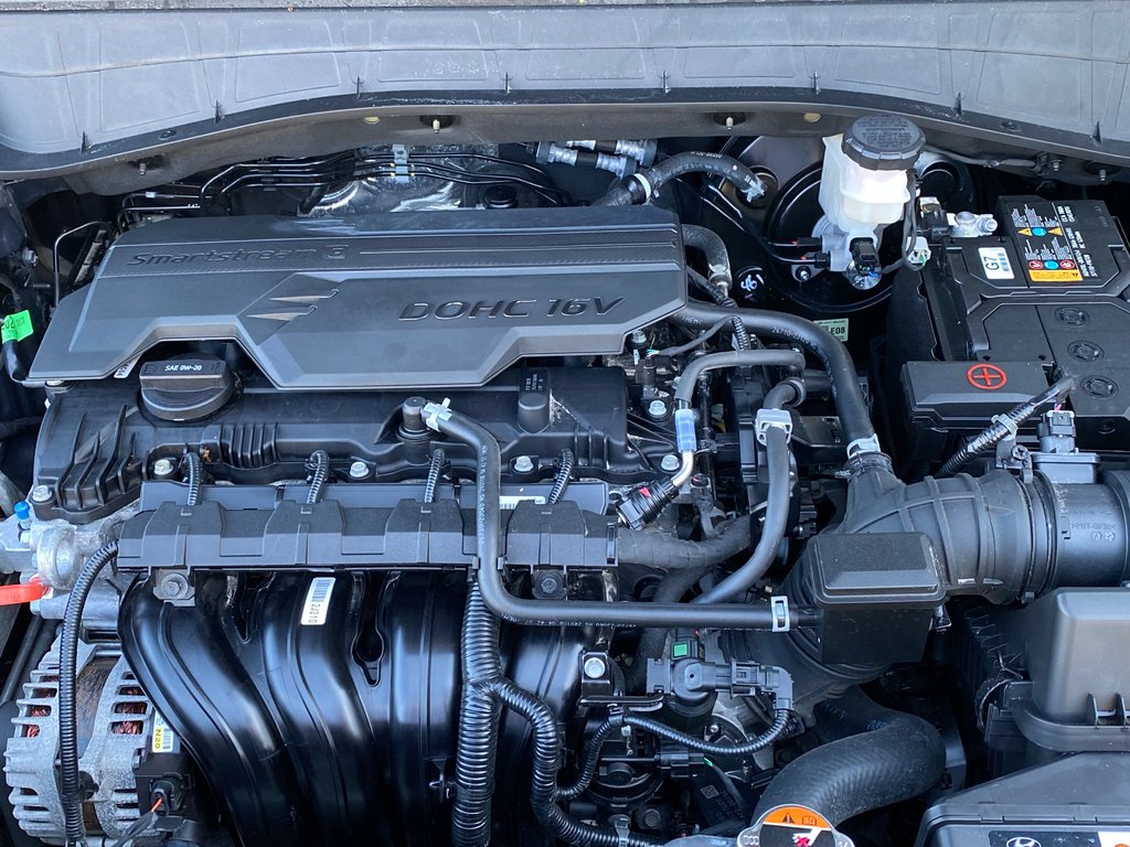2024 Hyundai Kona in Antigonish, Nova Scotia - 9 - w1024h768px