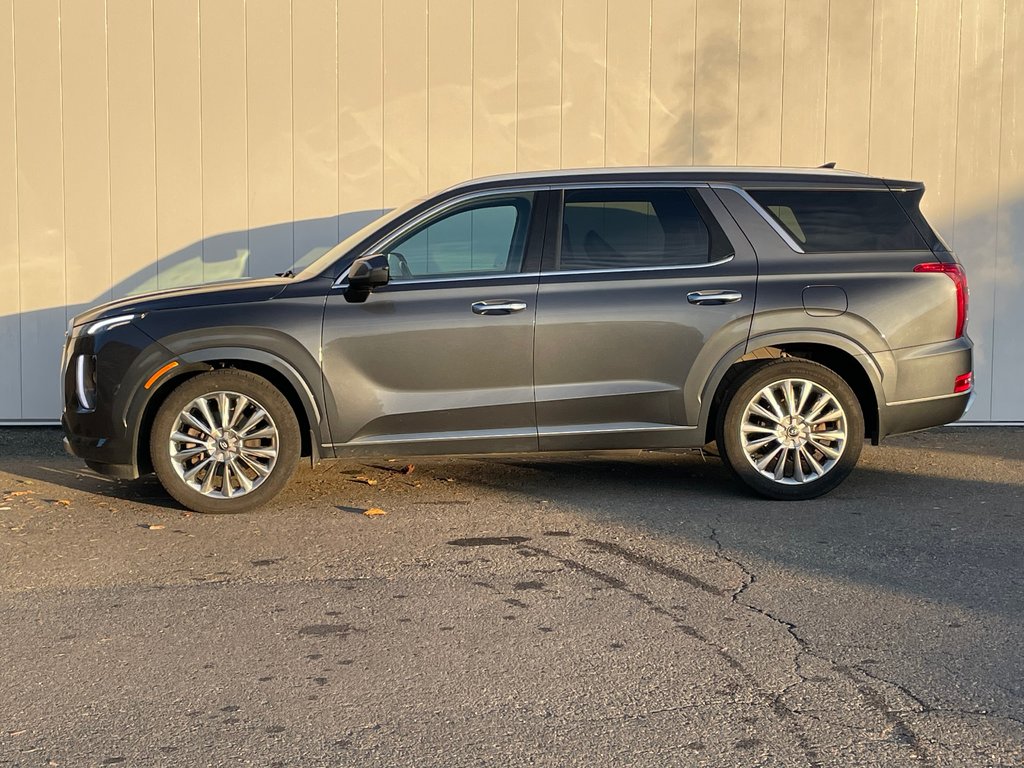 2020 Hyundai Palisade Ultimate | Leather | SunRoof | Nav | Cam | USB in Saint John, New Brunswick - 4 - w1024h768px