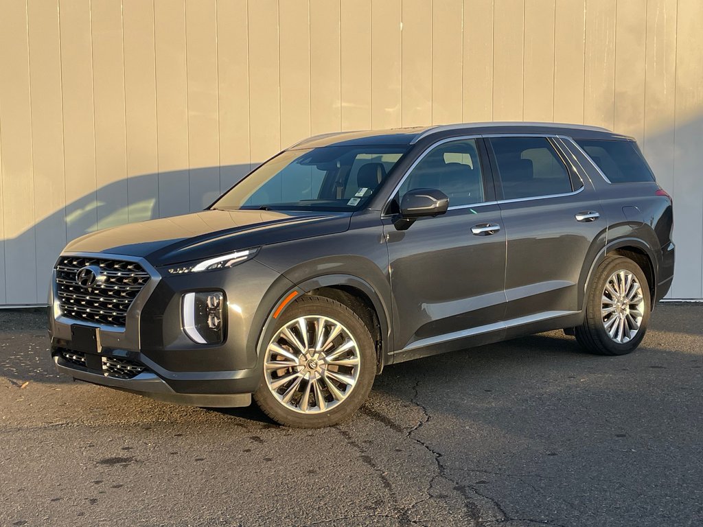 2020 Hyundai Palisade Ultimate | Leather | SunRoof | Nav | Cam | USB in Saint John, New Brunswick - 3 - w1024h768px