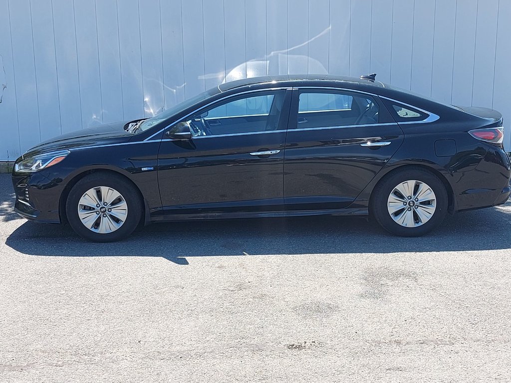 2019 Hyundai Sonata Hybrid Preferred | Cam | USB | HtdSeat | Warranty to 2027 in Saint John, New Brunswick - 6 - w1024h768px