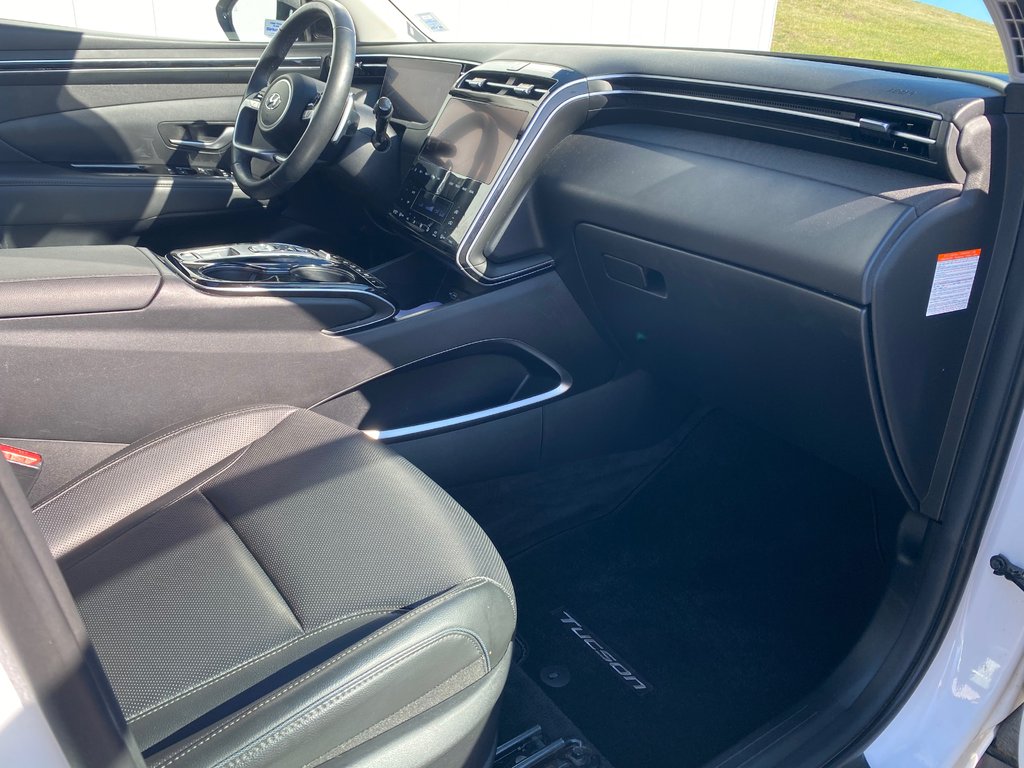 2023 Hyundai Tucson Hybrid LUXURY | Leather | Roof | Cam | Warranty to 2028 in Saint John, New Brunswick - 30 - w1024h768px