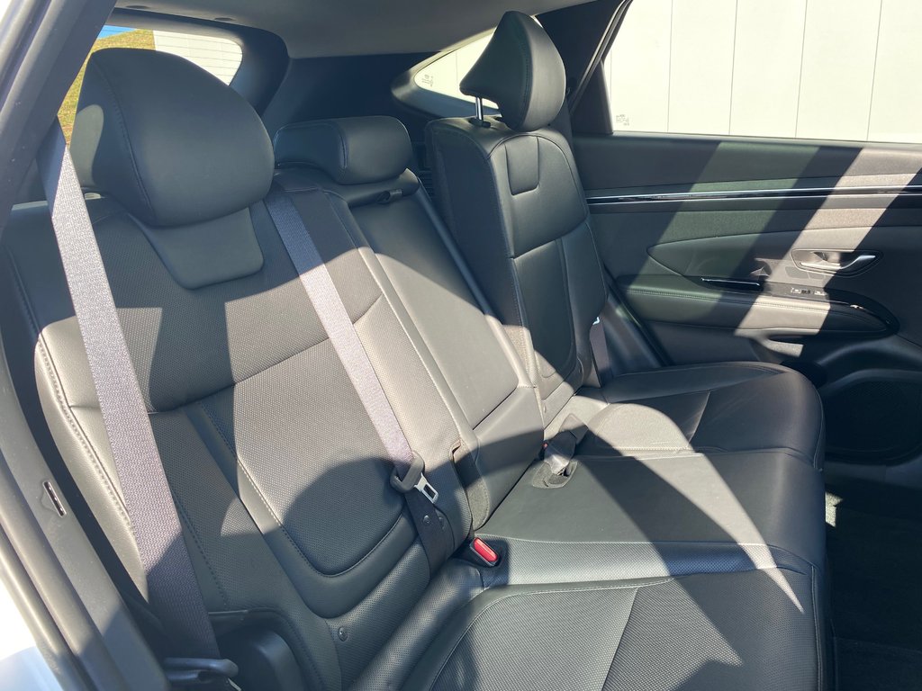 2023 Hyundai Tucson Hybrid LUXURY | Leather | Roof | Cam | Warranty to 2028 in Saint John, New Brunswick - 33 - w1024h768px