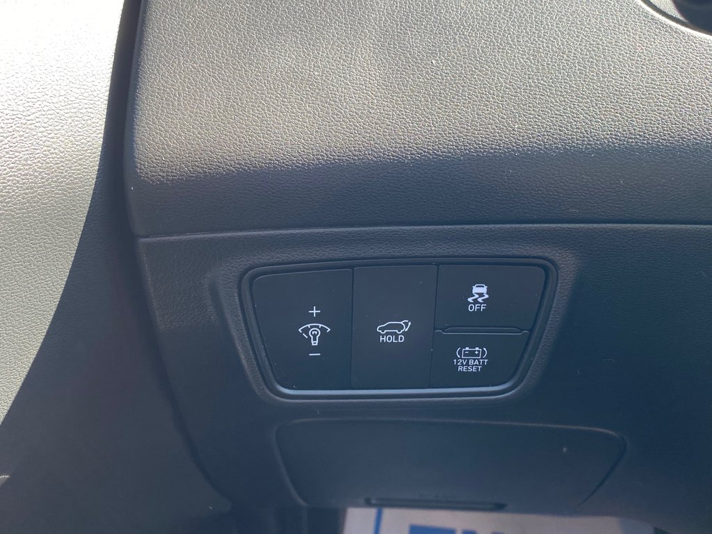 2023 Hyundai Tucson Hybrid LUXURY | Leather | Roof | Cam | Warranty to 2028 in Saint John, New Brunswick - 15 - w1024h768px