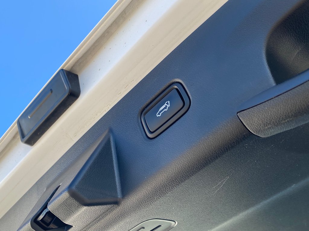 2023 Hyundai Tucson Hybrid LUXURY | Leather | Roof | Cam | Warranty to 2028 in Saint John, New Brunswick - 46 - w1024h768px