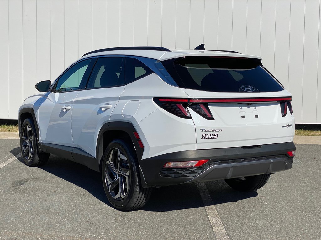 2023 Hyundai Tucson Hybrid LUXURY | Leather | Roof | Cam | Warranty to 2028 in Saint John, New Brunswick - 5 - w1024h768px