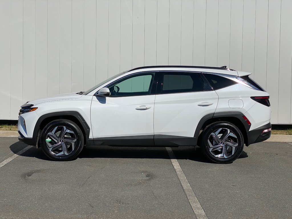 2023 Hyundai Tucson Hybrid LUXURY | Leather | Roof | Cam | Warranty to 2028 in Saint John, New Brunswick - 4 - w1024h768px