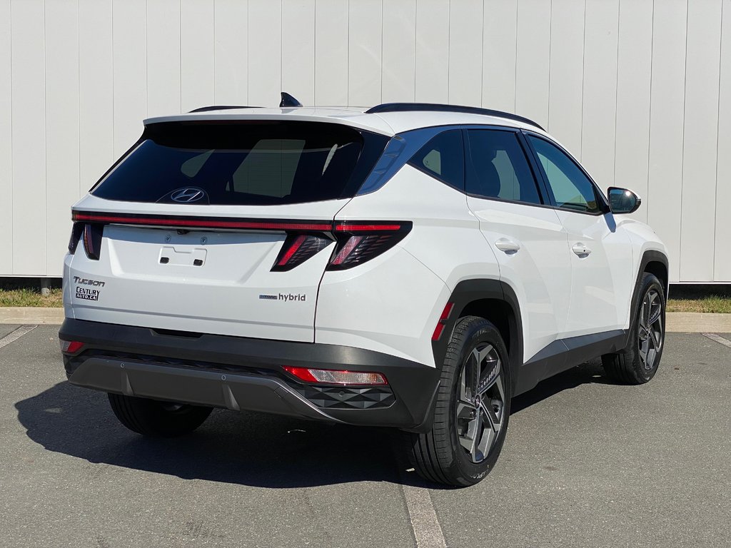 2023 Hyundai Tucson Hybrid LUXURY | Leather | Roof | Cam | Warranty to 2028 in Saint John, New Brunswick - 7 - w1024h768px