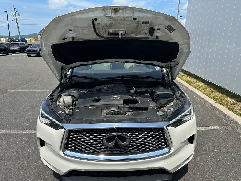 2021 Infiniti QX50 in Antigonish, Nova Scotia - 55 - w1024h768px