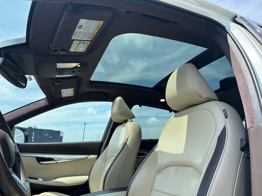 2021 Infiniti QX50 in Antigonish, Nova Scotia - 35 - w1024h768px