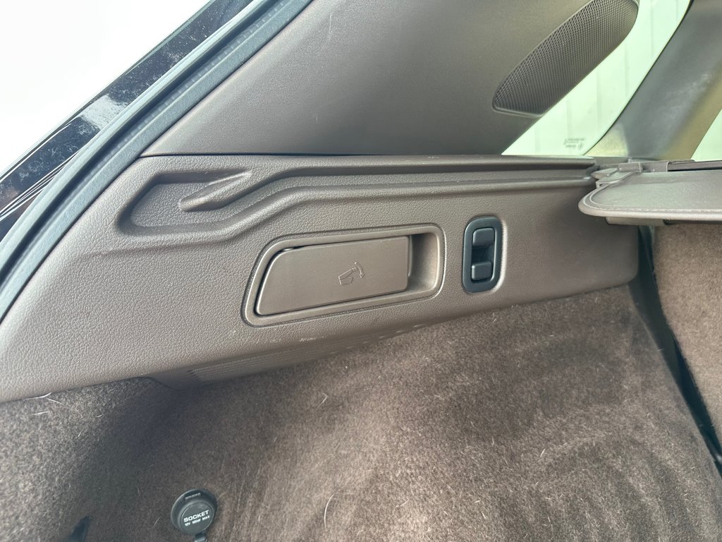 2021 Infiniti QX50 in Antigonish, Nova Scotia - 46 - w1024h768px
