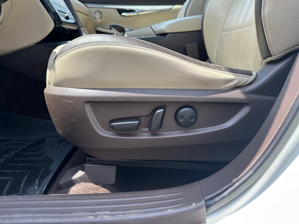2021 Infiniti QX50 in Antigonish, Nova Scotia - 16 - w1024h768px