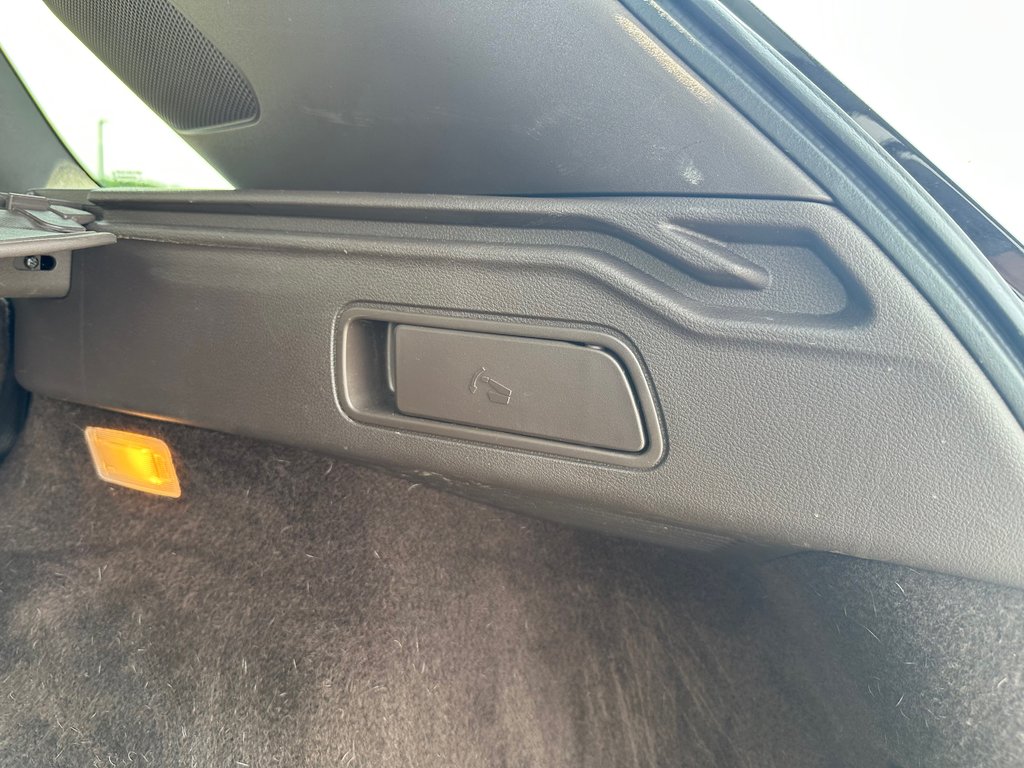 2021 Infiniti QX50 in Antigonish, Nova Scotia - 45 - w1024h768px