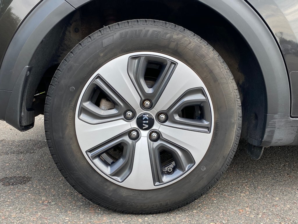Kia NIRO EX | Leather | Cam | USB | Bluetooth | Keyless 2019 à Saint John, Nouveau-Brunswick - 47 - w1024h768px