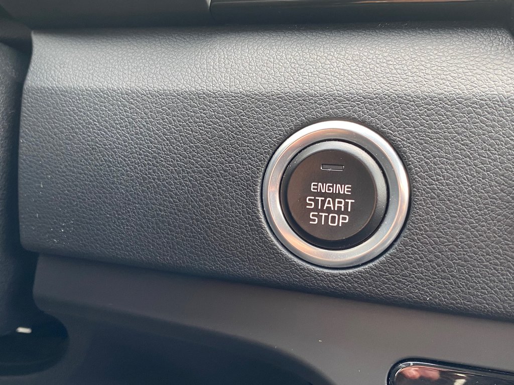 Kia NIRO EX | Leather | Cam | USB | Bluetooth | Keyless 2019 à Saint John, Nouveau-Brunswick - 20 - w1024h768px