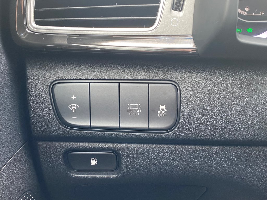Kia NIRO EX | Leather | Cam | USB | Bluetooth | Keyless 2019 à Saint John, Nouveau-Brunswick - 15 - w1024h768px