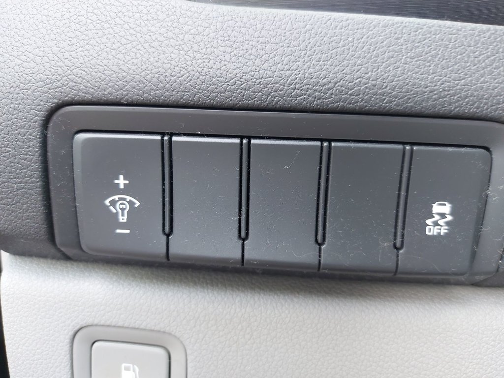2017 Kia Sedona LX | HtdSeats | Cam | Bluetooth | Aux | USB in Saint John, New Brunswick - 15 - w1024h768px