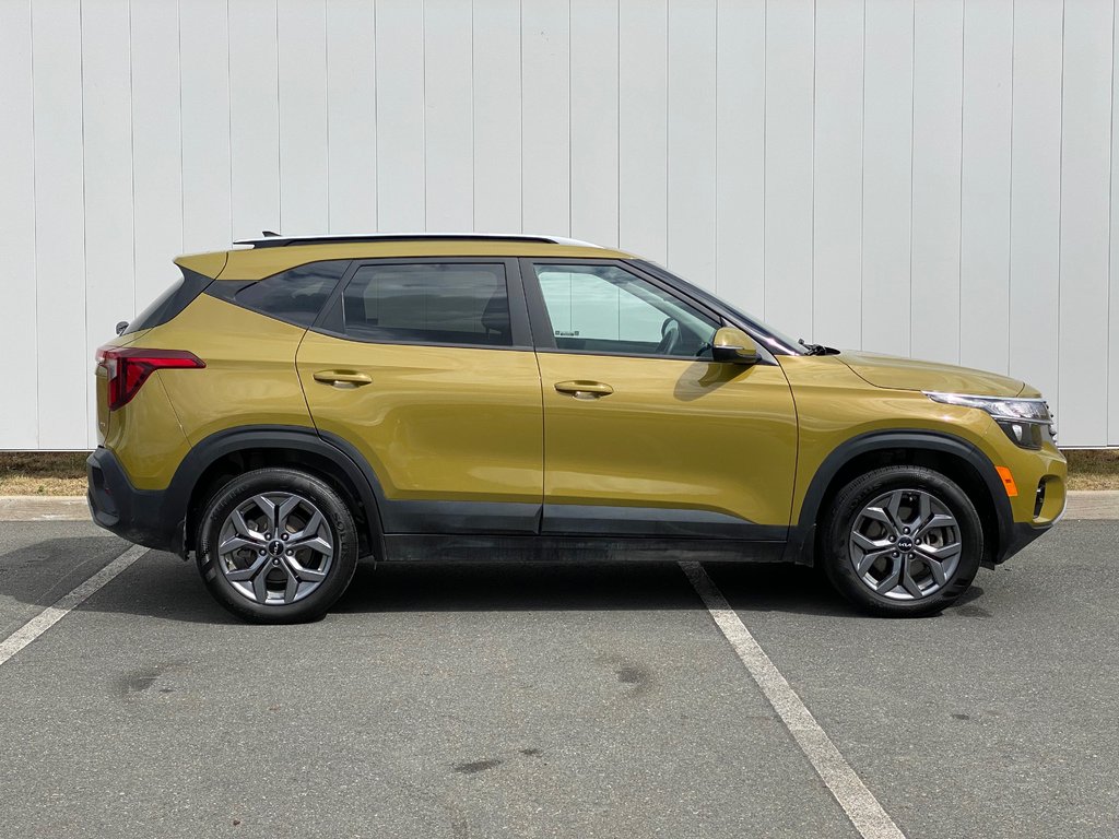 2024 Kia Seltos in Antigonish, Nova Scotia - 8 - w1024h768px