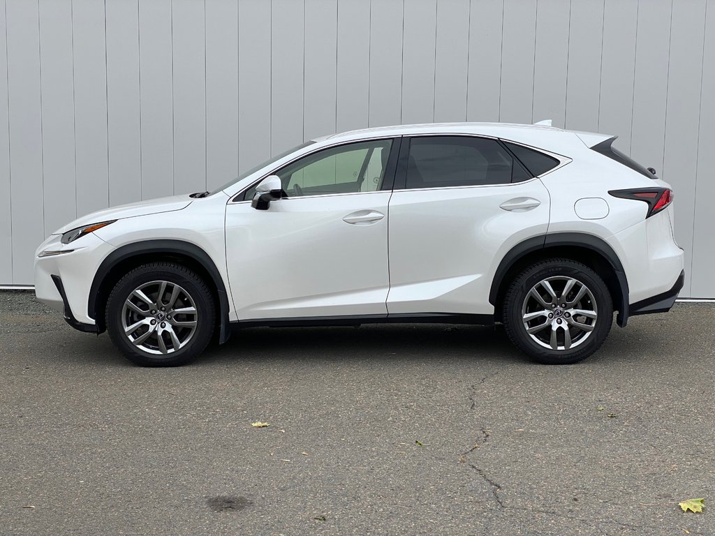 2019 Lexus NX 300 | Leather | Cam | USB | Keyless | AdpCruise in Saint John, New Brunswick - 4 - w1024h768px
