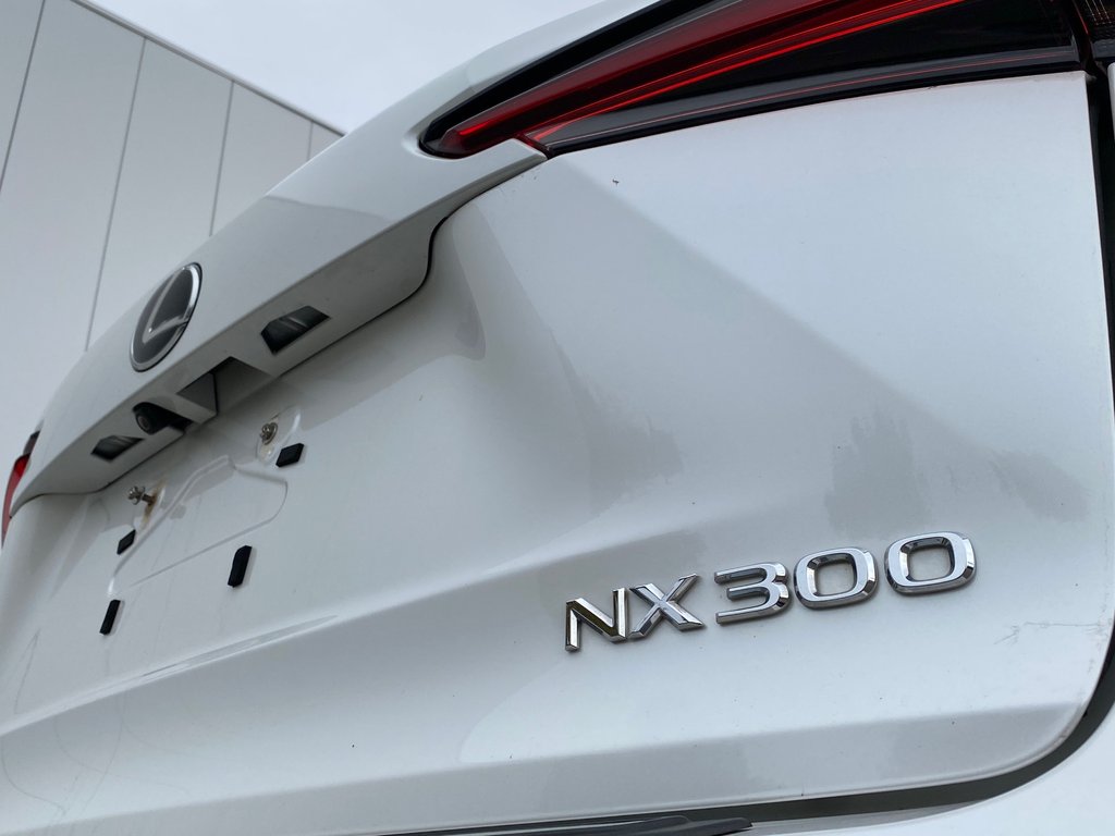 2019 Lexus NX 300 | Leather | Cam | USB | Keyless | AdpCruise in Saint John, New Brunswick - 45 - w1024h768px