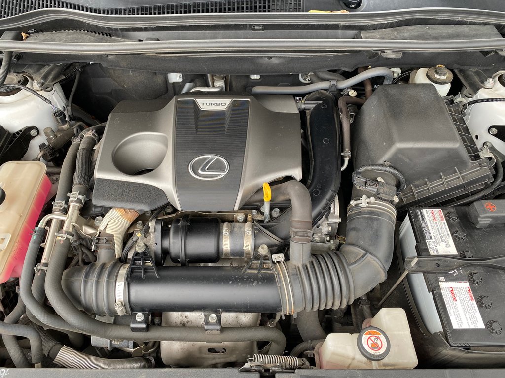 2019 Lexus NX 300 | Leather | Cam | USB | Keyless | AdpCruise in Saint John, New Brunswick - 9 - w1024h768px