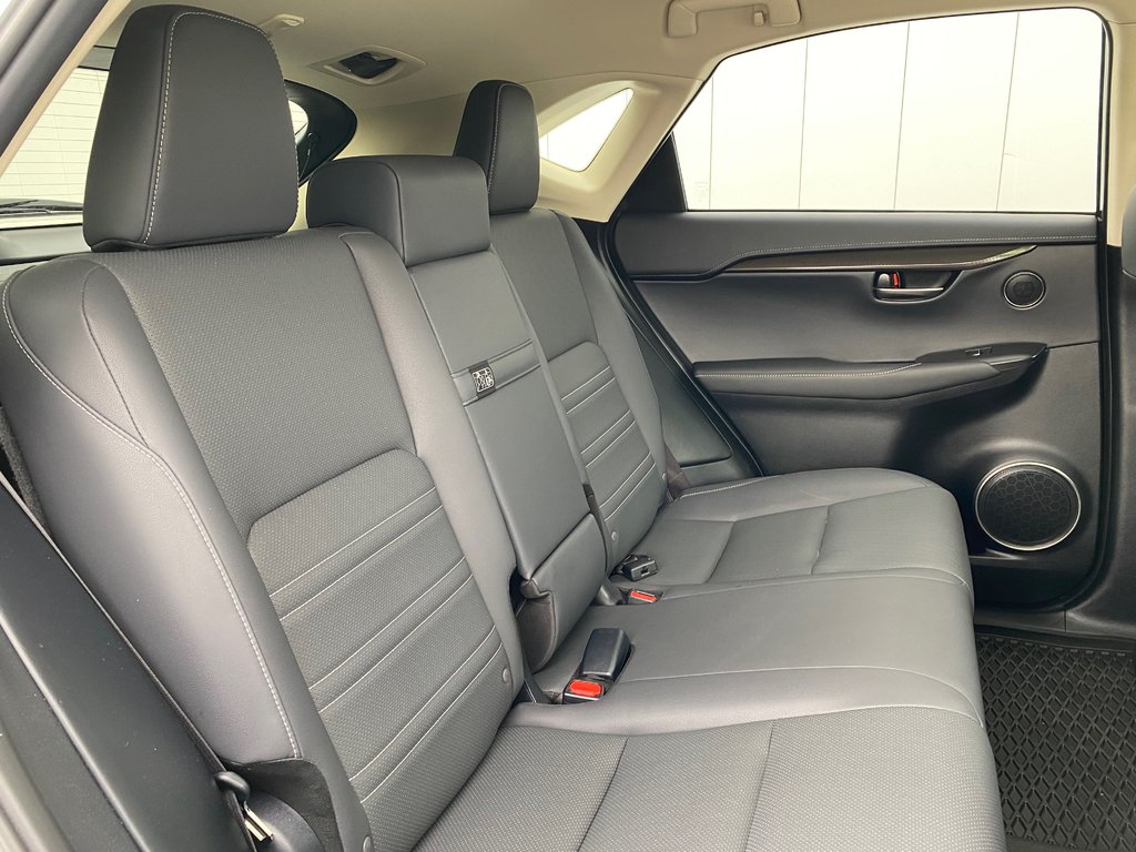 2019 Lexus NX 300 | Leather | Cam | USB | Keyless | AdpCruise in Saint John, New Brunswick - 34 - w1024h768px