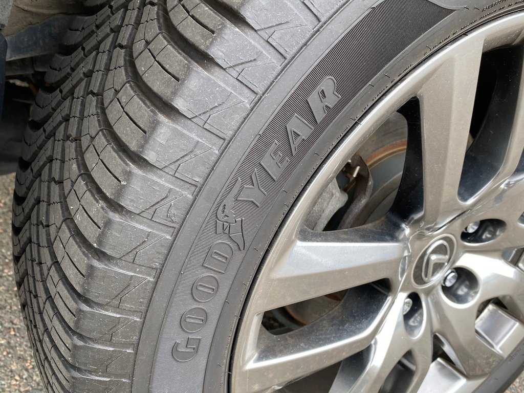 2019 Lexus NX 300 | Leather | Cam | USB | Keyless | AdpCruise in Saint John, New Brunswick - 47 - w1024h768px