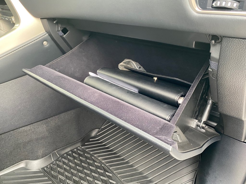 2019 Lexus NX 300 | Leather | Cam | USB | Keyless | AdpCruise in Saint John, New Brunswick - 32 - w1024h768px