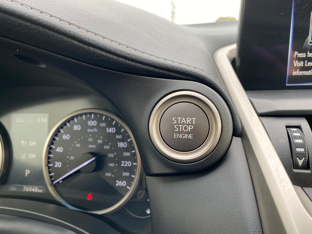 2019 Lexus NX 300 | Leather | Cam | USB | Keyless | AdpCruise in Saint John, New Brunswick - 20 - w1024h768px