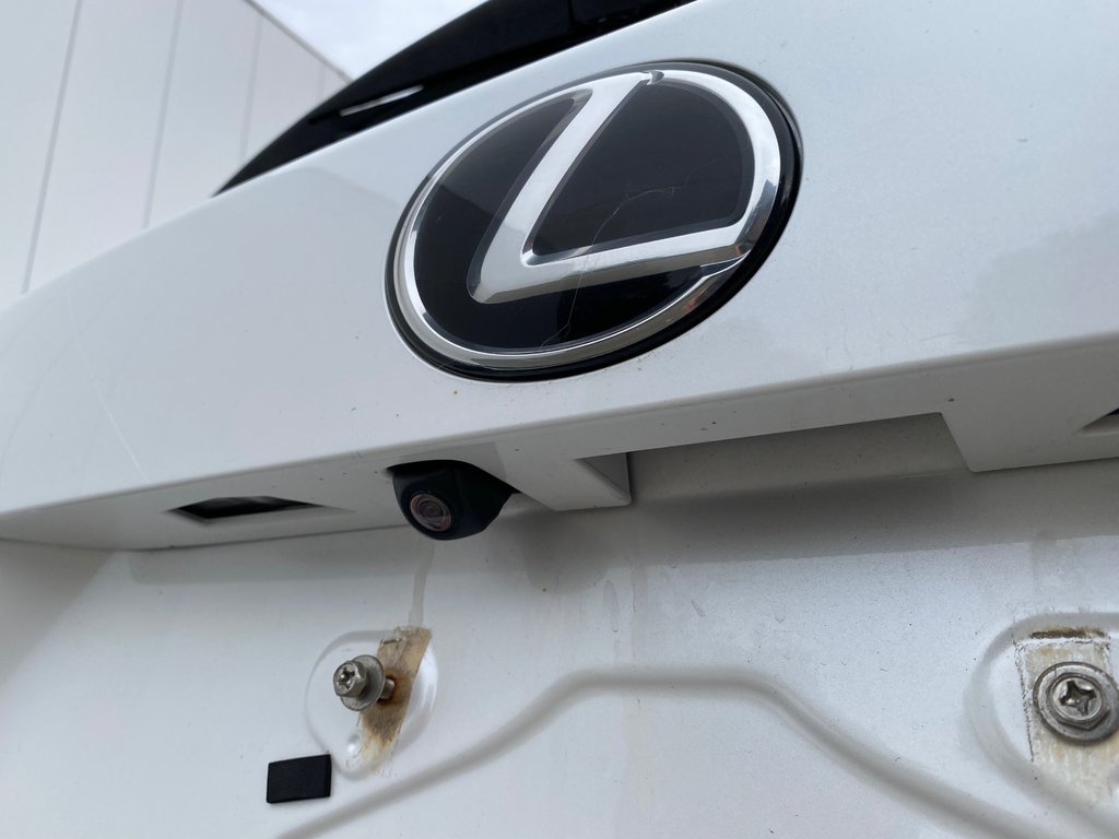 2019 Lexus NX 300 | Leather | Cam | USB | Keyless | AdpCruise in Saint John, New Brunswick - 40 - w1024h768px