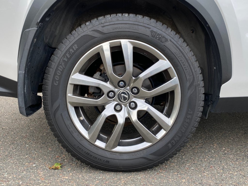 2019 Lexus NX 300 | Leather | Cam | USB | Keyless | AdpCruise in Saint John, New Brunswick - 46 - w1024h768px