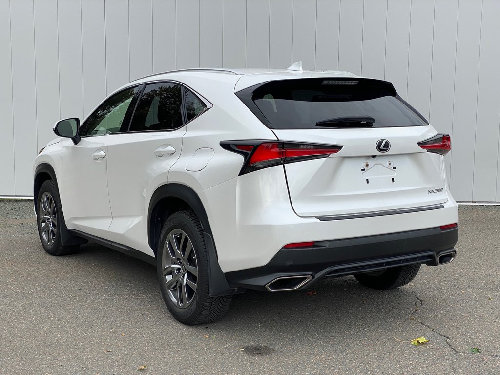 2019 Lexus NX 300 | Leather | Cam | USB | Keyless | AdpCruise in Saint John, New Brunswick - 5 - w1024h768px
