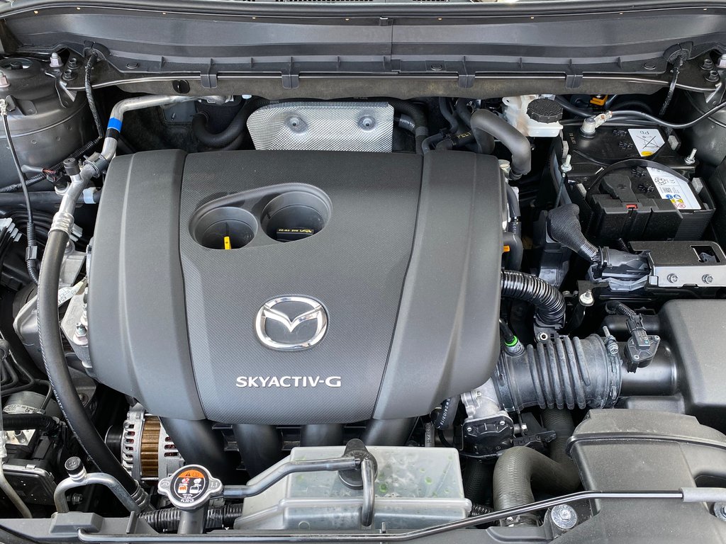 2024 Mazda CX-5 GS | Leather | SunRoof | Cam | Warranty to 2029 in Saint John, New Brunswick - 9 - w1024h768px