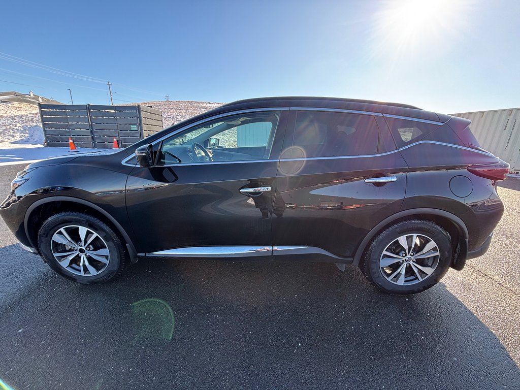 2021 Nissan Murano SV | SunRoof | Cam | USB | Warranty to 2026 in Saint John, New Brunswick - 4 - w1024h768px