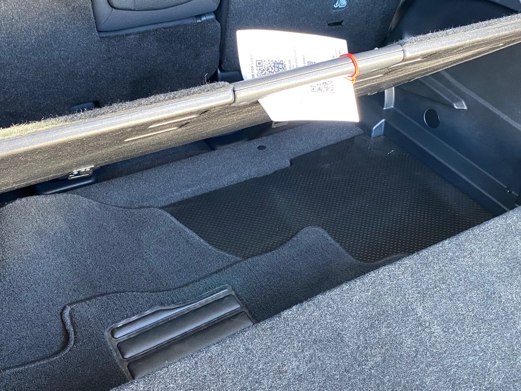 2020 Nissan Rogue in Antigonish, Nova Scotia - 43 - w1024h768px