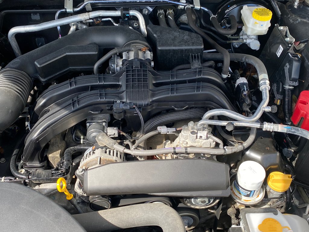 2021 Subaru Outback in Antigonish, Nova Scotia - 9 - w1024h768px