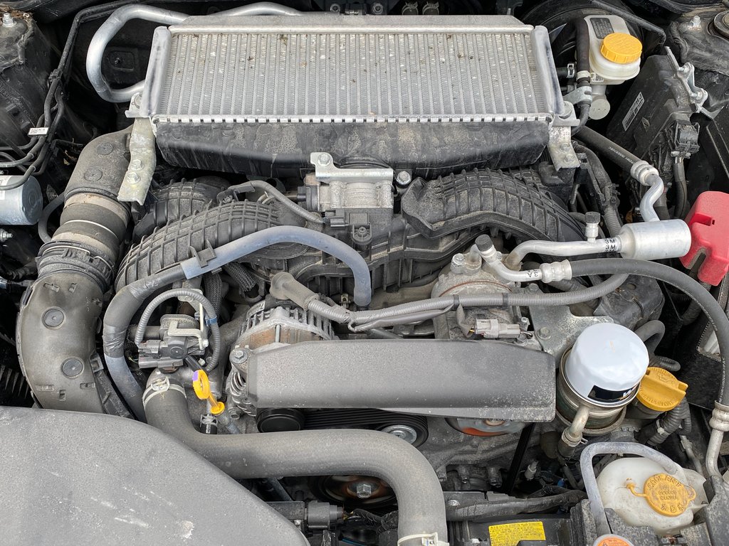 2023 Subaru WRX in Antigonish, Nova Scotia - 9 - w1024h768px