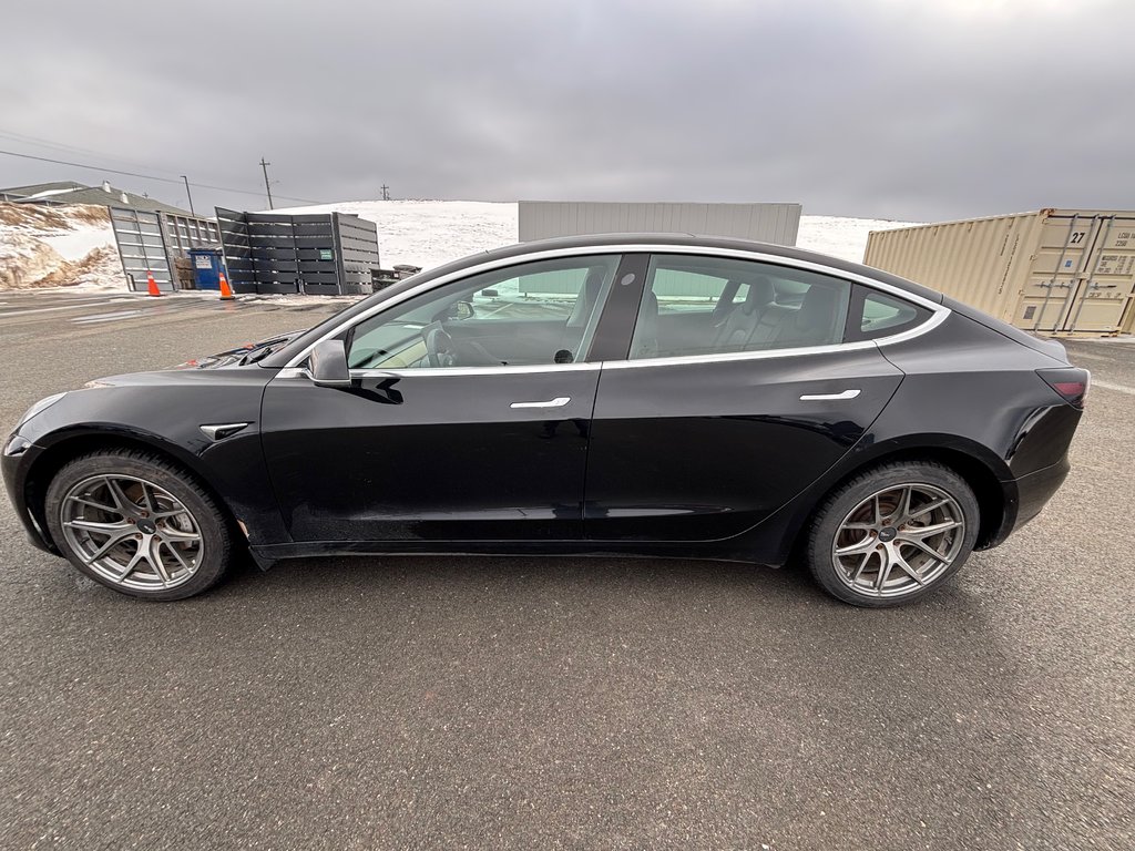 Tesla MODEL 3 Standard Range Plus | EV | Cam | Warranty to 2027 2019 à Saint John, Nouveau-Brunswick - 4 - w1024h768px